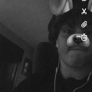 Meet your Posher, Owen